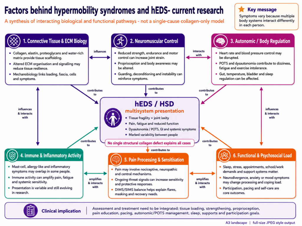 invisible illness - Factors behind HSD and hEDS